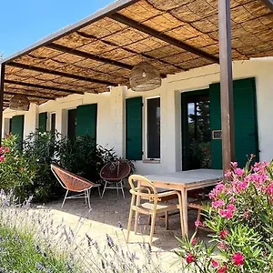 La Vieille école Arles