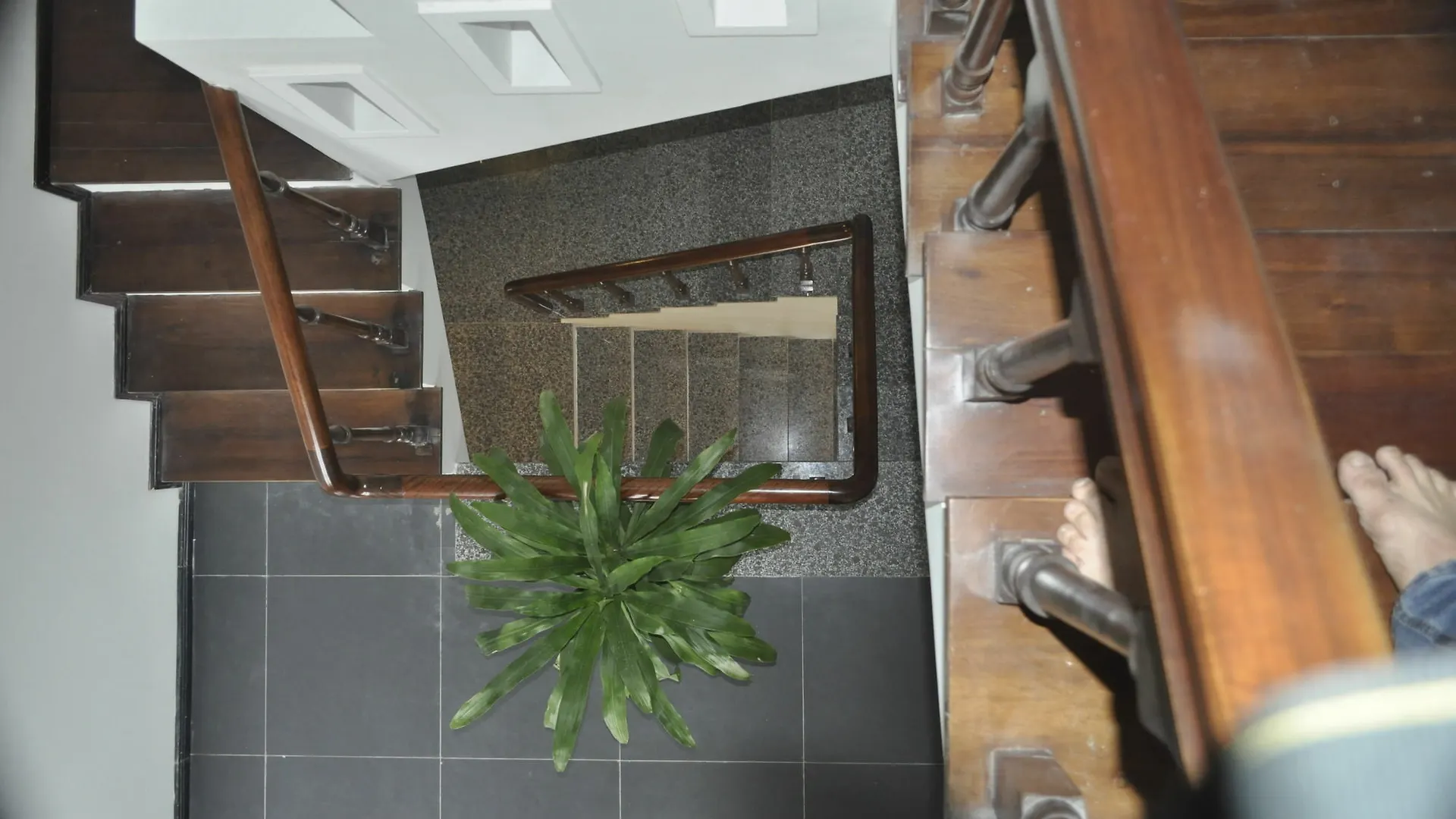 Green Coco Homestay Hoi An 0*,  Vietnam