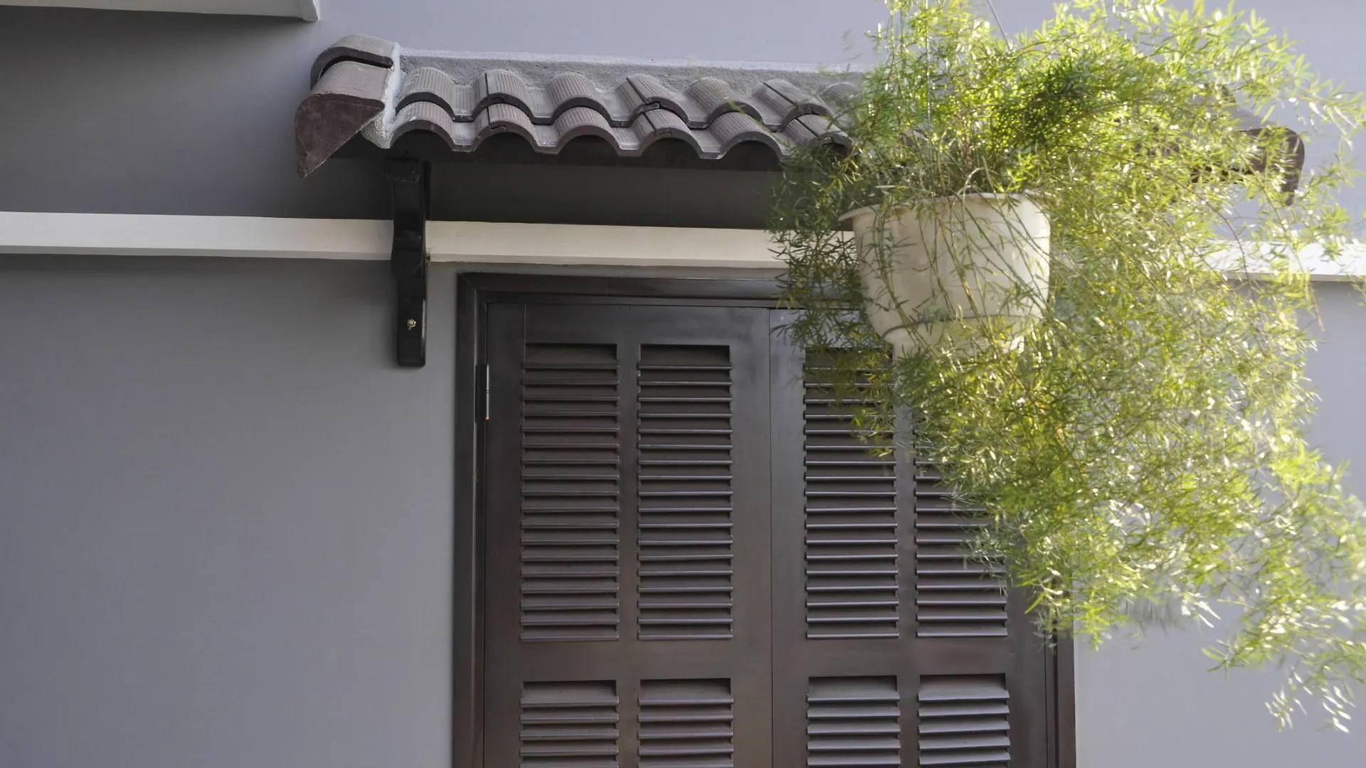 Green Coco Homestay Hoi An